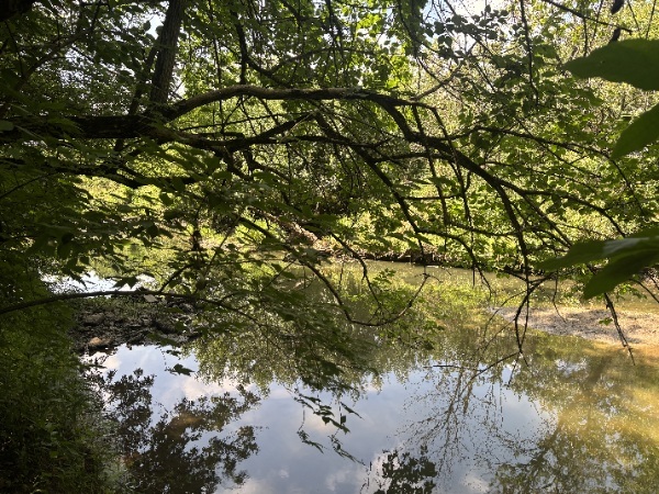 15653 W Baker Road, Manhattan, IL 60442