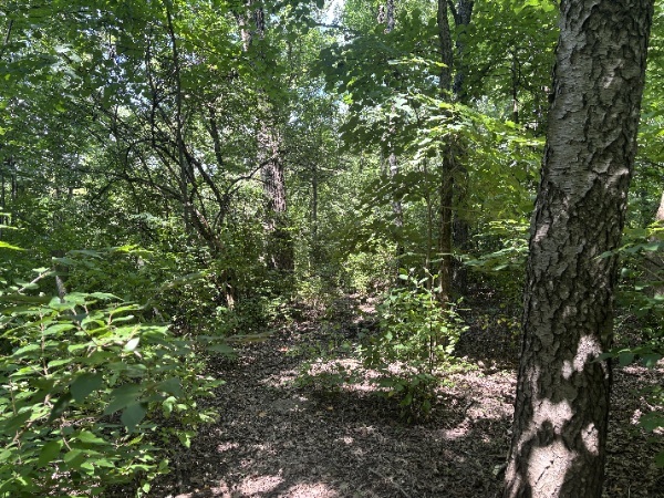 15653 W Baker Road, Manhattan, IL 60442