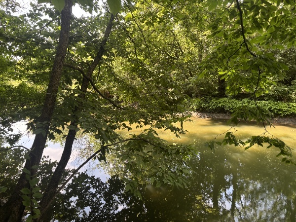 15653 W Baker Road, Manhattan, IL 60442