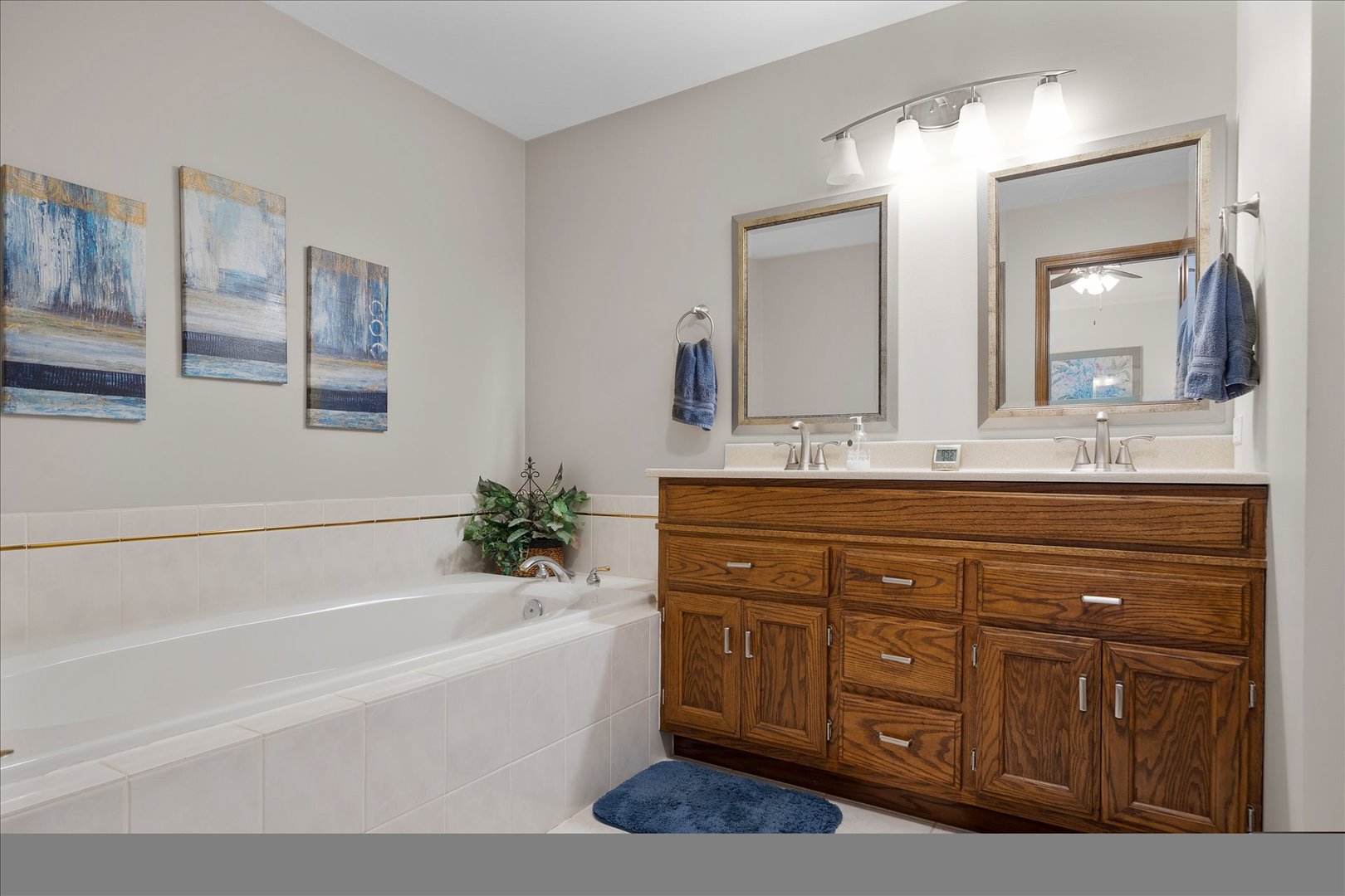 25934 S Courtney Road, Plainfield, IL 60585