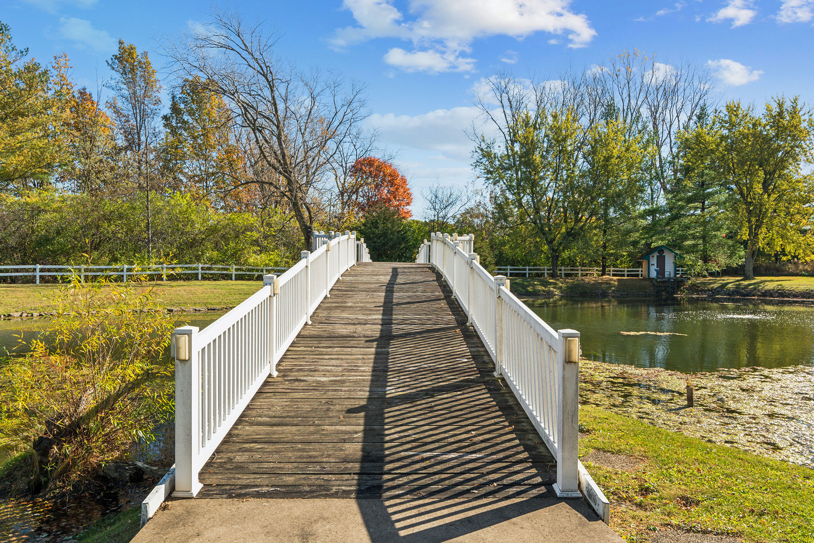 9717 W Kuse Road, Frankfort, IL 60423