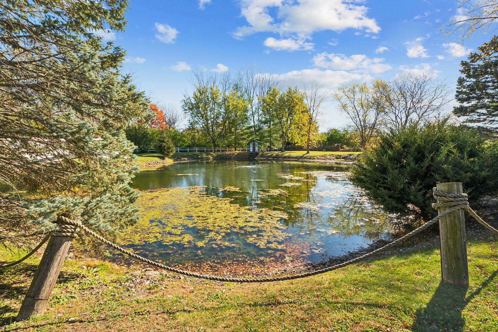 9717 W Kuse Road, Frankfort, IL 60423