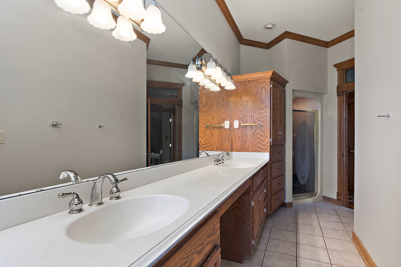 9717 W Kuse Road, Frankfort, IL 60423