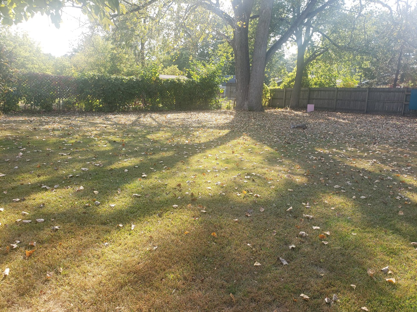 1204 Park Avenue, Winthrop Harbor, IL 60096