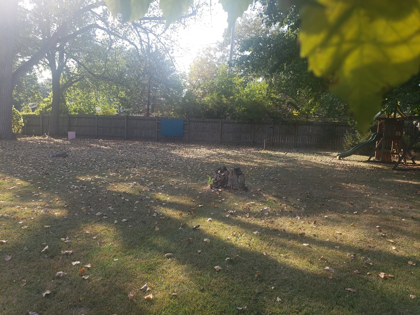 1204 Park Avenue, Winthrop Harbor, IL 60096