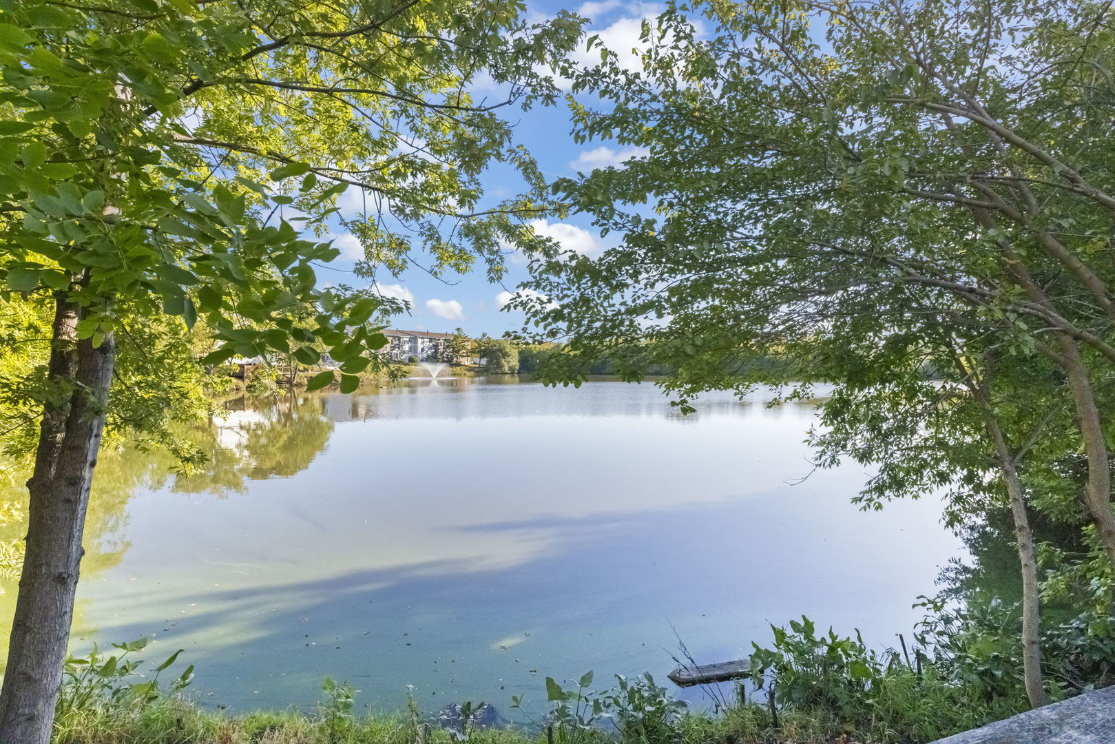 1703 Lakecliffe Drive #A, Wheaton, IL 60189