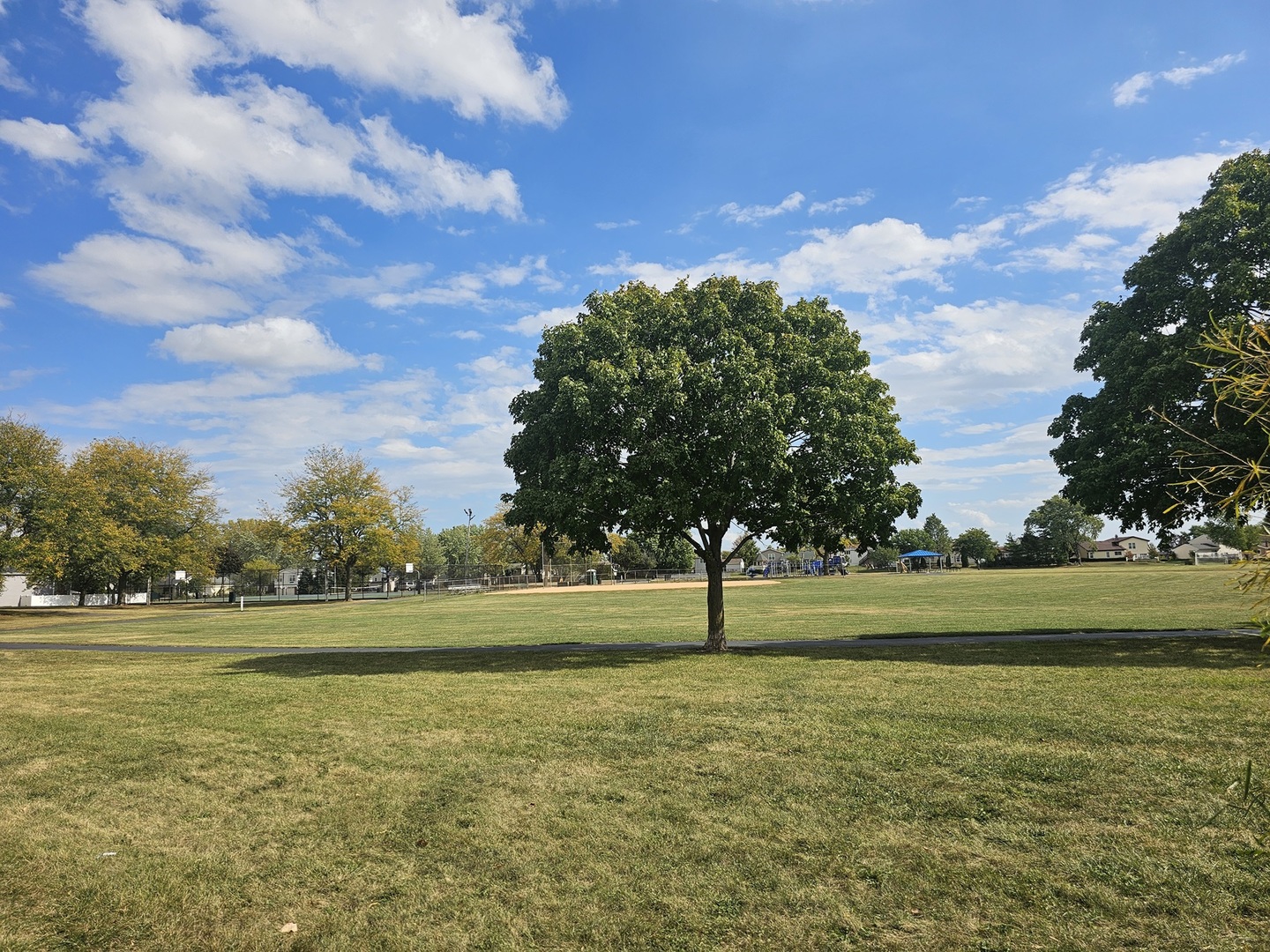 307 E Alpine Drive, Glendale Heights, IL 60139