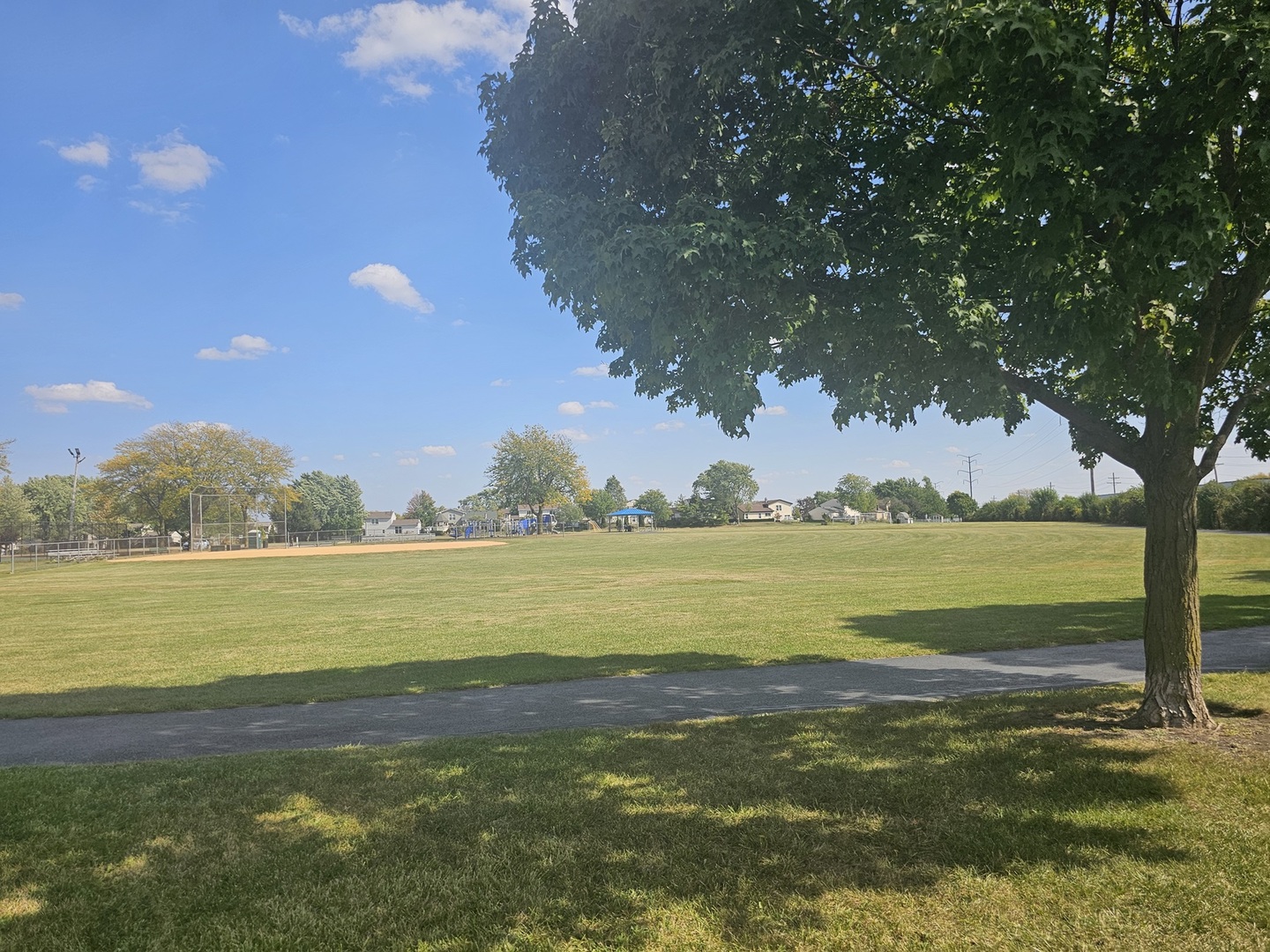 307 E Alpine Drive, Glendale Heights, IL 60139