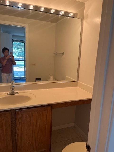839 Dracut Lane, Schaumburg, IL 60173