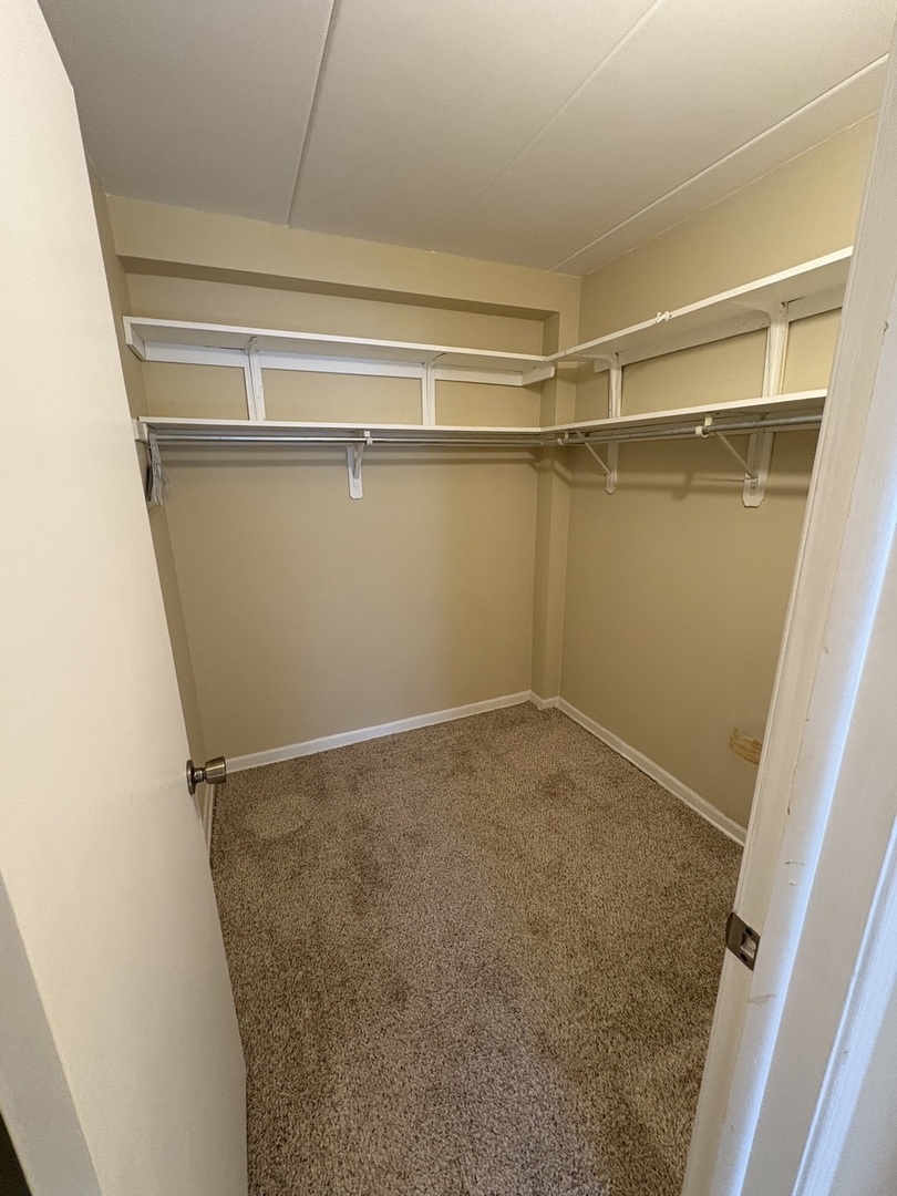 10810 S Kilpatrick Avenue #1NE, Oak Lawn, IL 60453