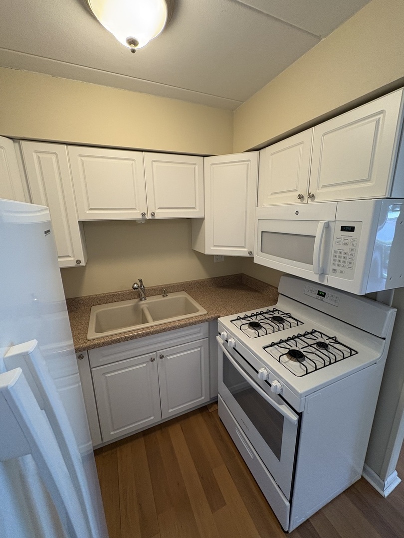 10810 S Kilpatrick Avenue #1NE, Oak Lawn, IL 60453