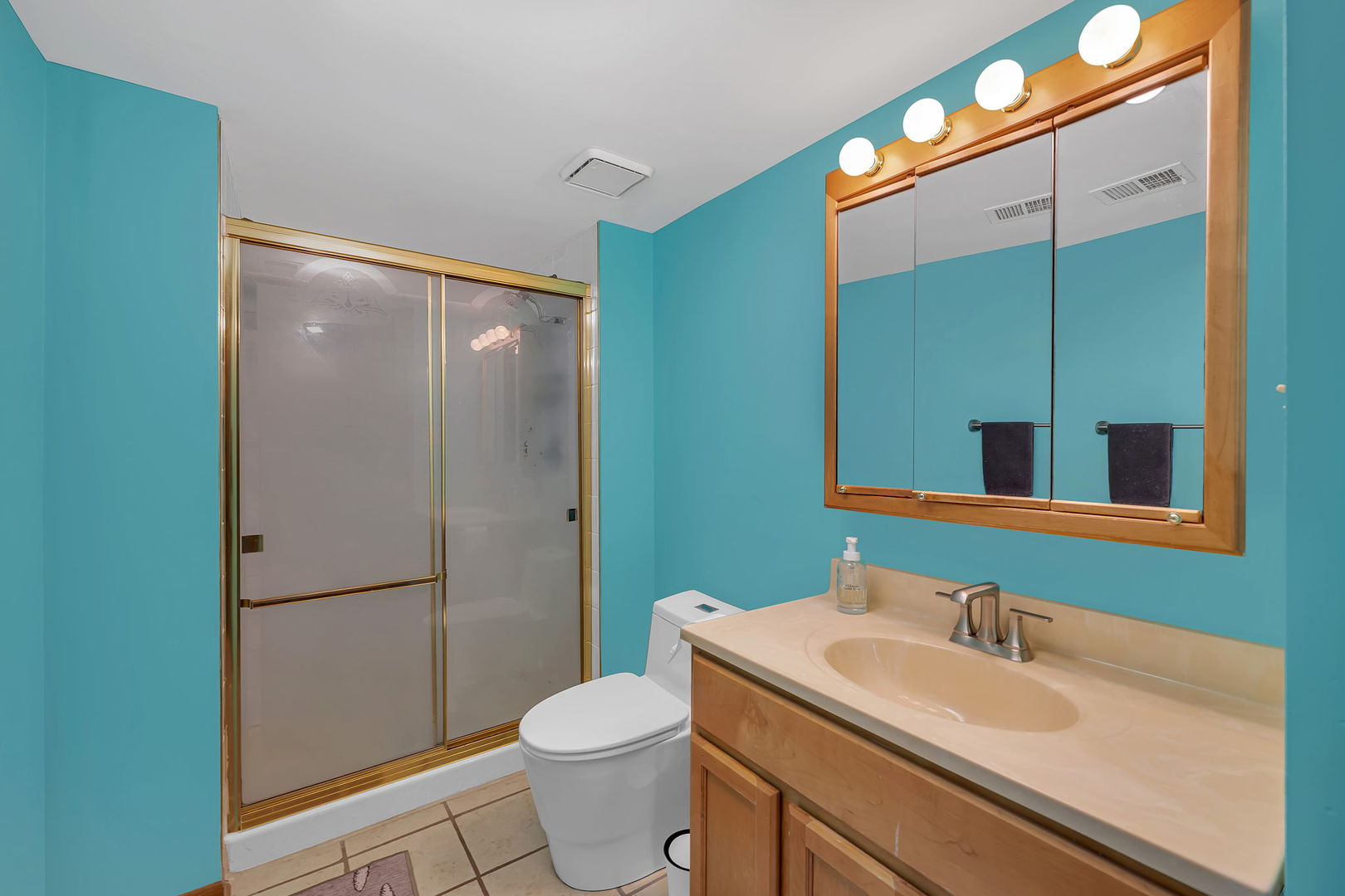 6919 177th Street, Tinley Park, IL 60477