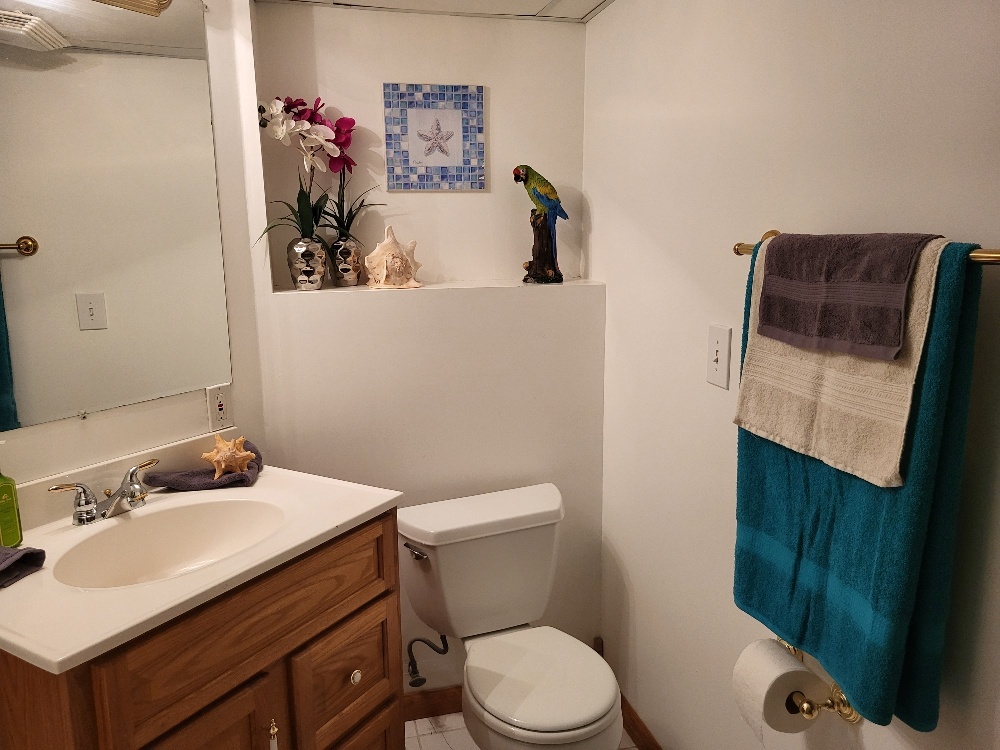 2949 BROSSMAN Street, Naperville, IL 60564