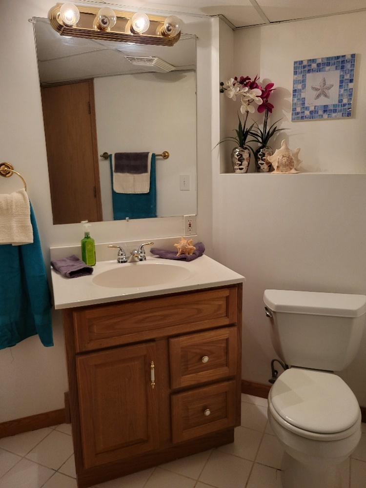 2949 BROSSMAN Street, Naperville, IL 60564