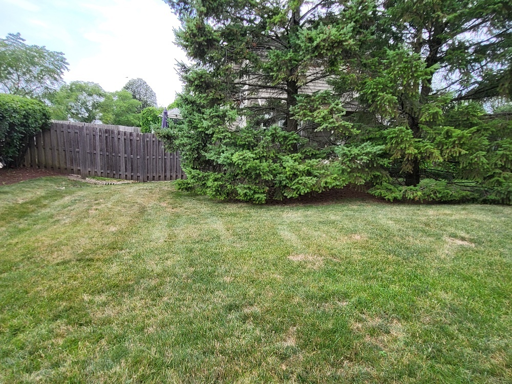 2949 BROSSMAN Street, Naperville, IL 60564