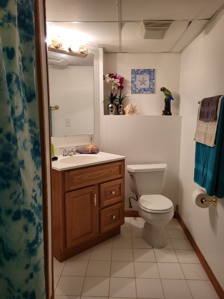 2949 BROSSMAN Street, Naperville, IL 60564