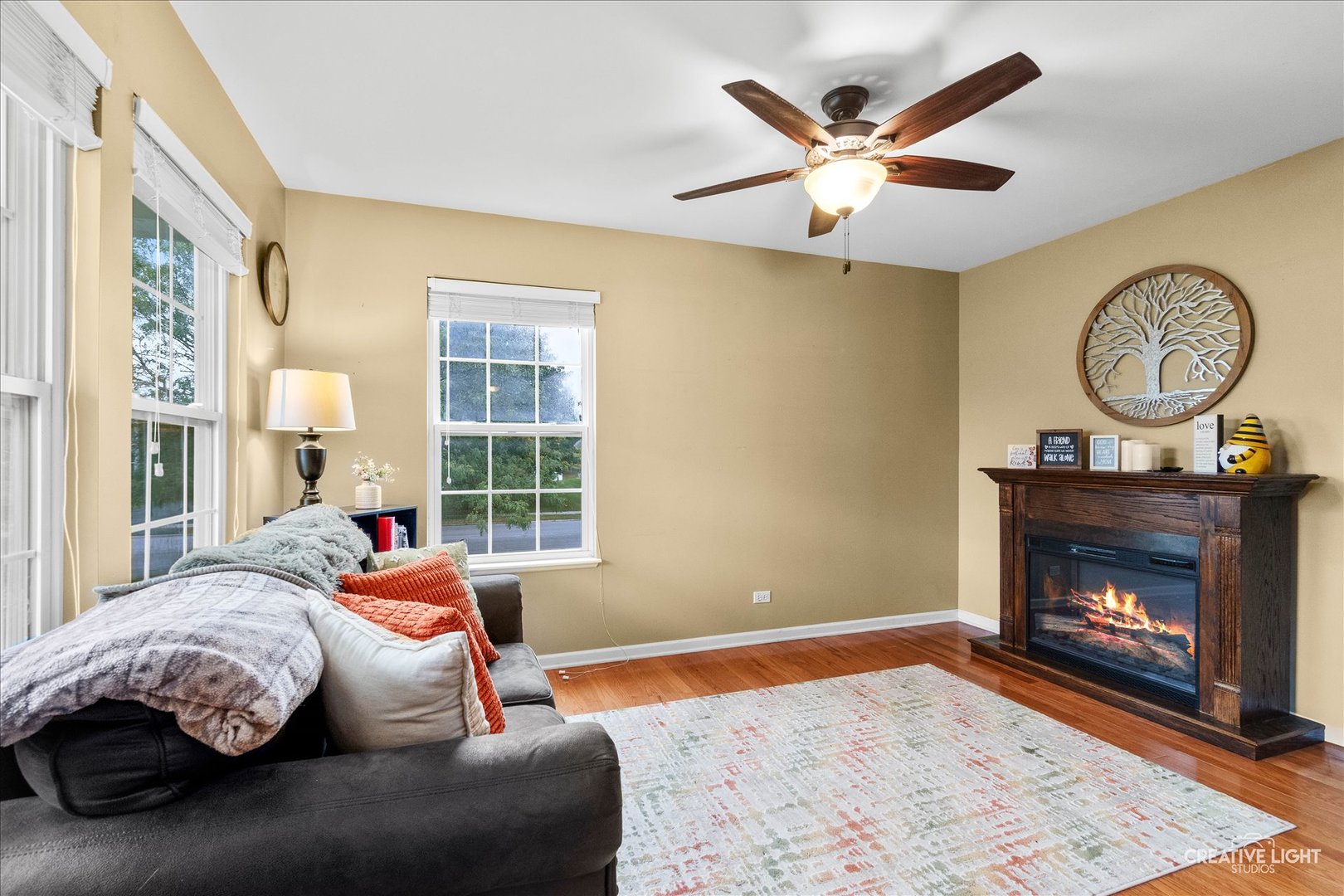 479 Raintree Drive, Oswego, IL 60543