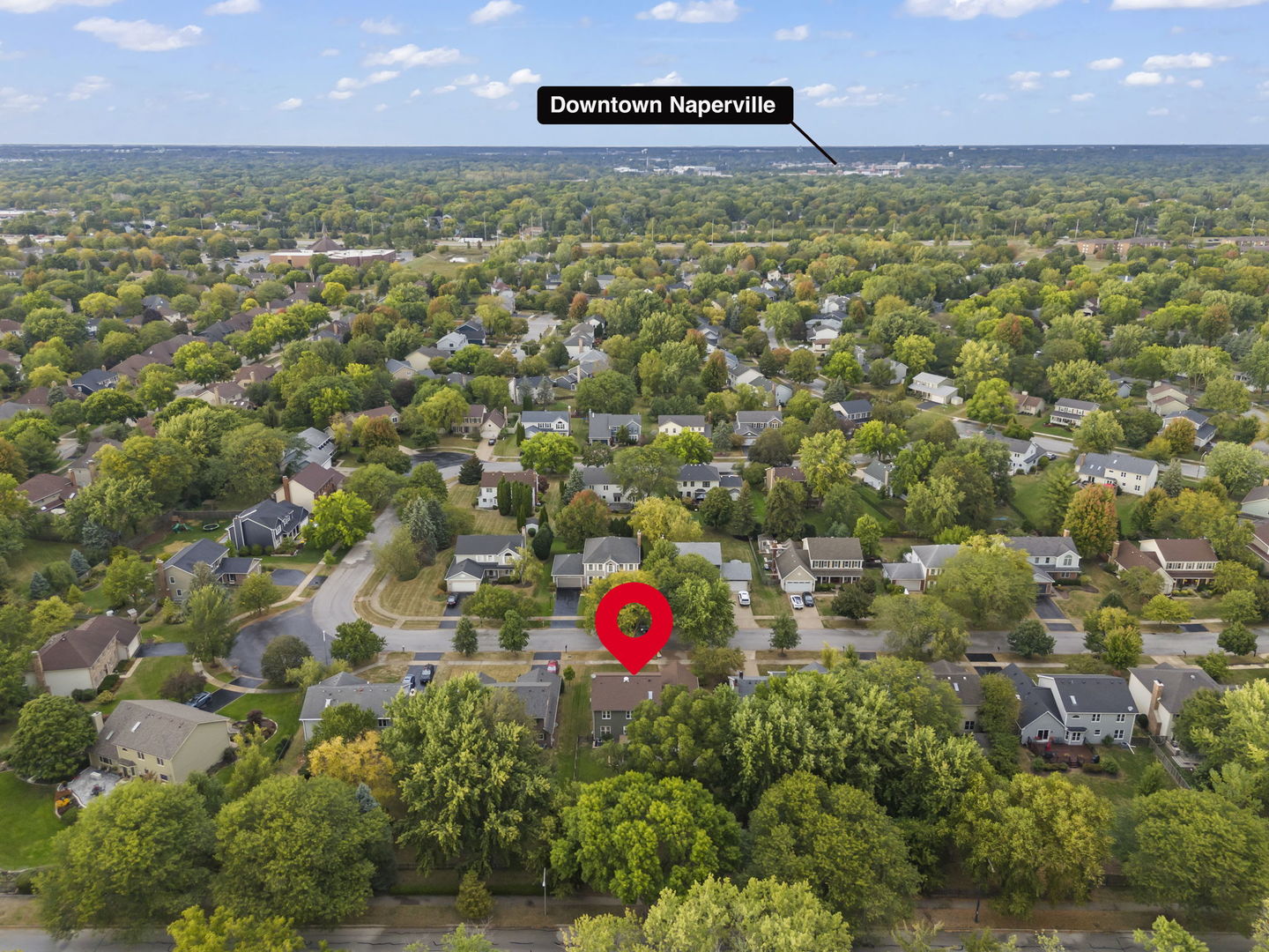 563 Bovidae Circle, Naperville, IL 60565