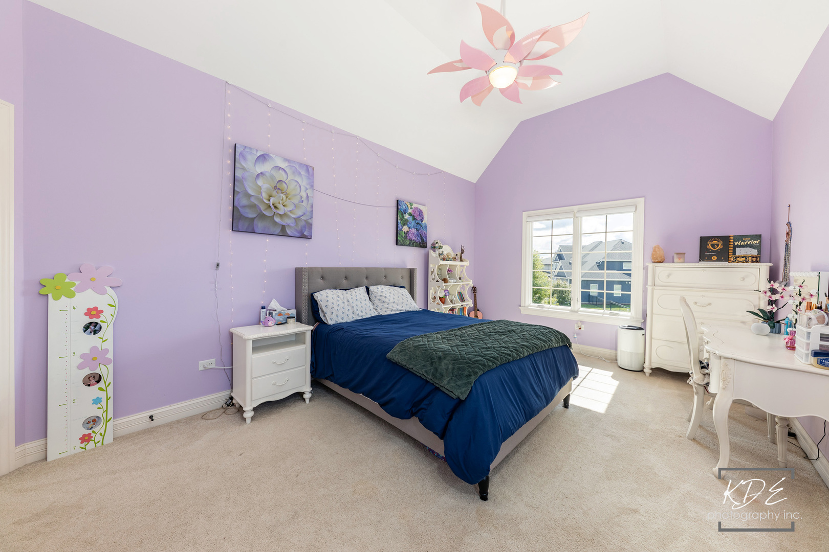 4447 Sassafras Lane, Naperville, IL 60564