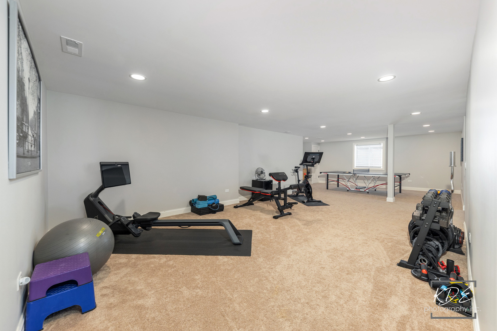 4447 Sassafras Lane, Naperville, IL 60564