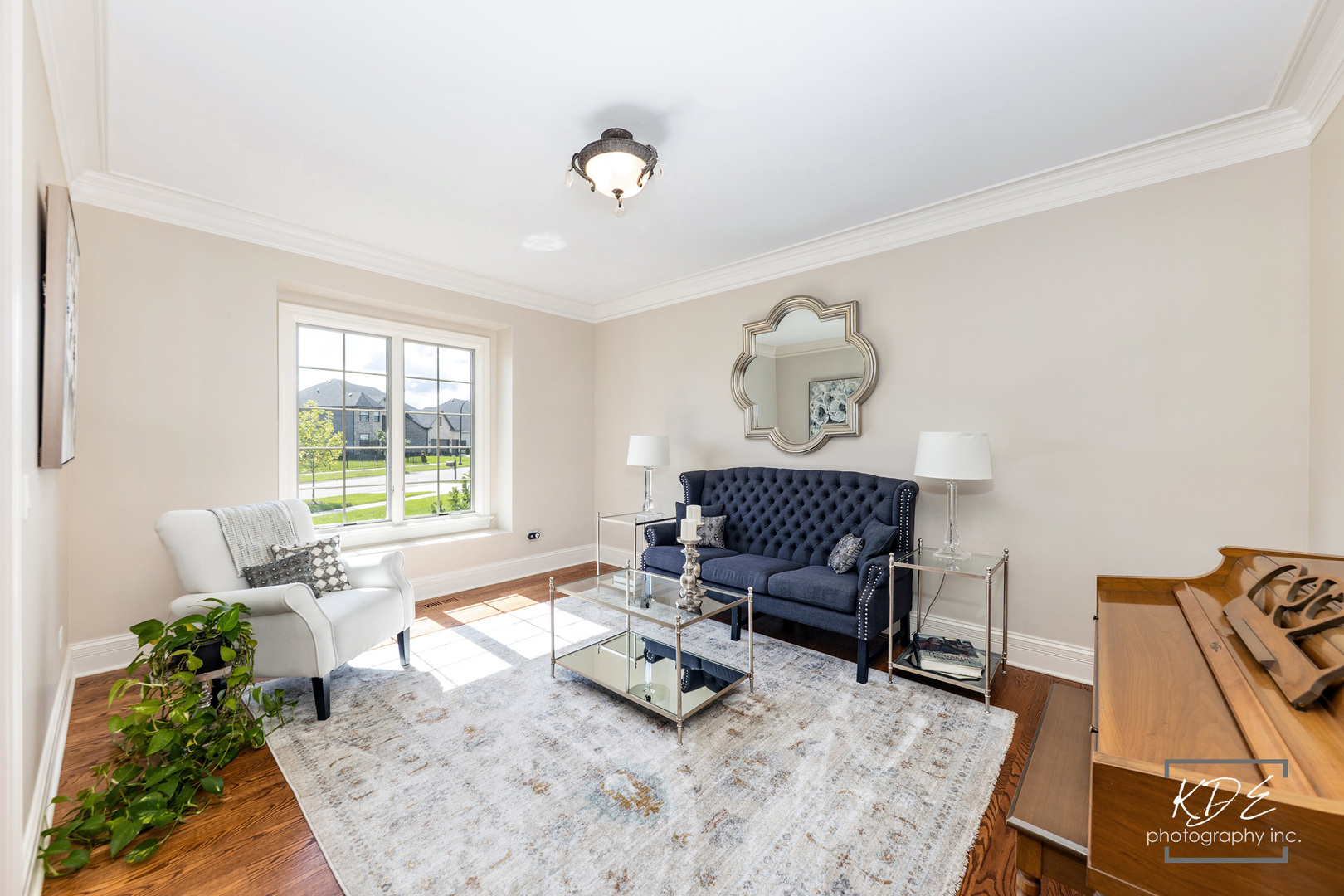 4447 Sassafras Lane, Naperville, IL 60564