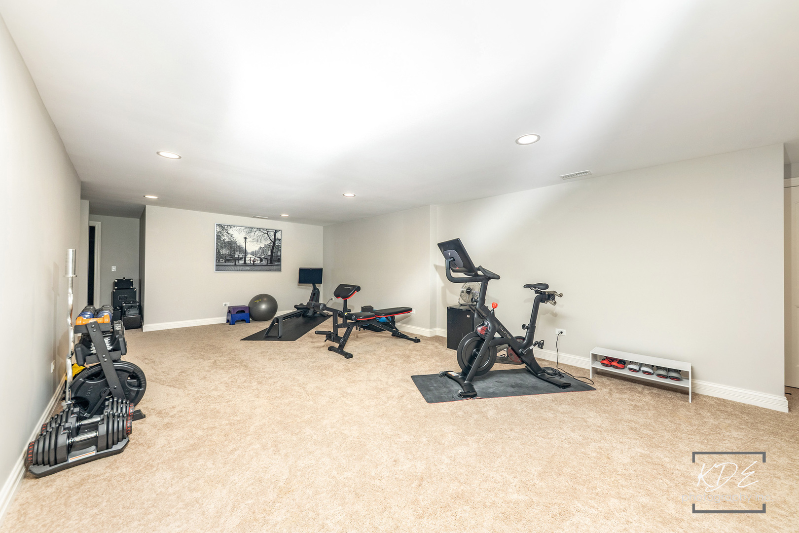 4447 Sassafras Lane, Naperville, IL 60564