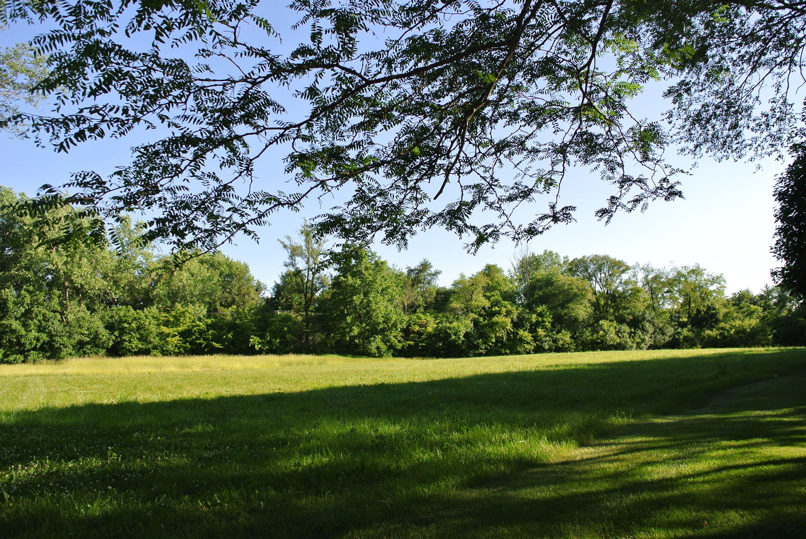 40 S Polo Drive, South Barrington, IL 60010