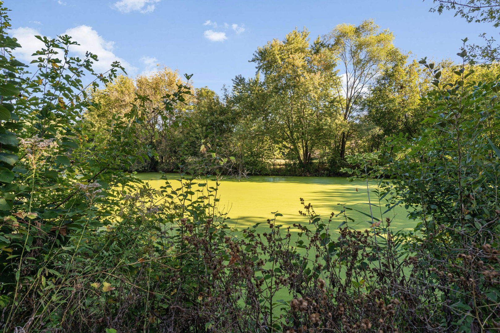 4077 Club Tree Drive, Streamwood, IL 60107