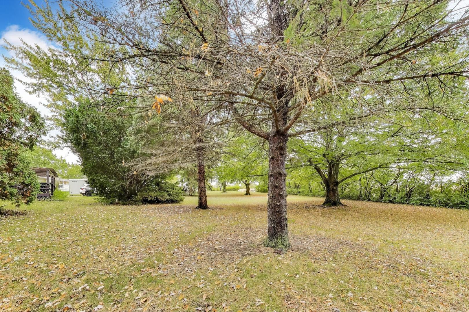 27809 S Will Center Road, Monee, IL 60449