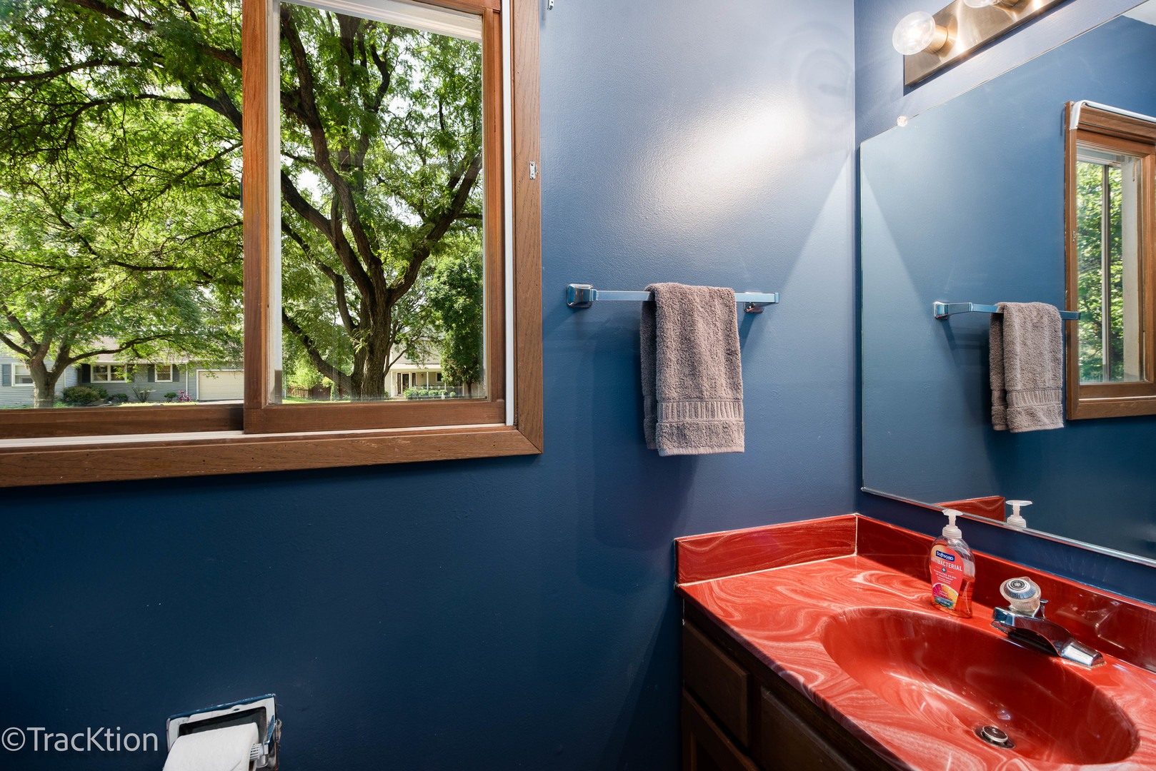 1309 Monmouth Avenue, Naperville, IL 60565