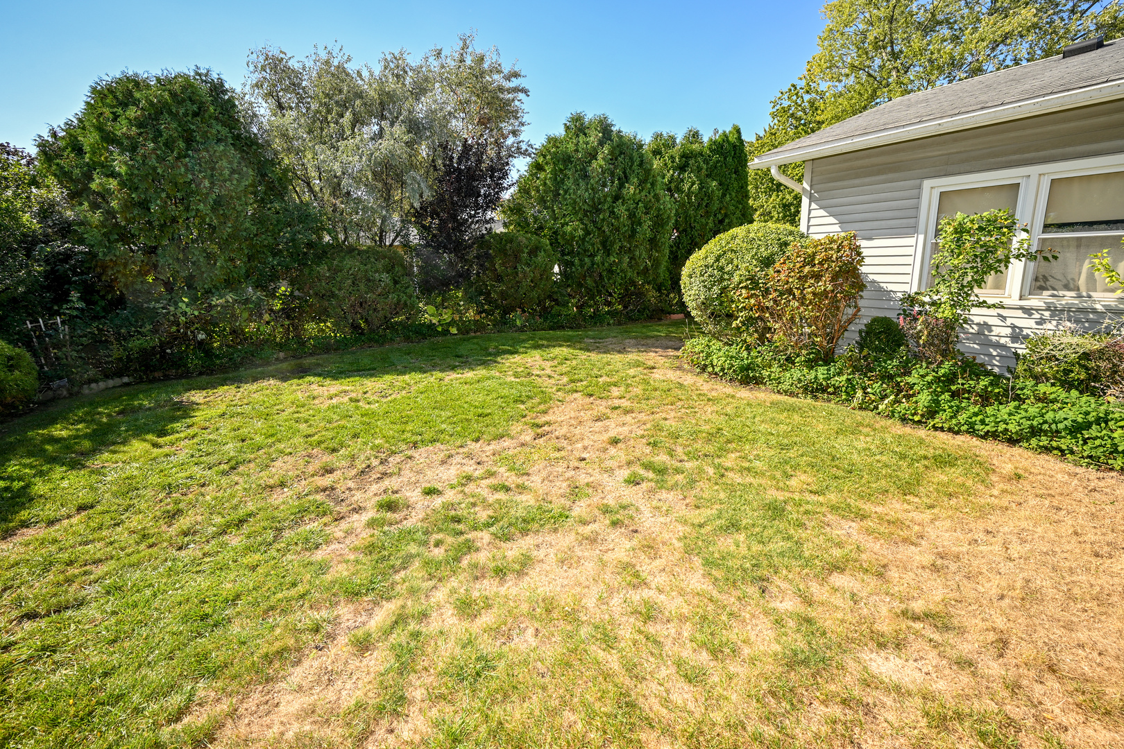 Elk Grove Village, IL 60007