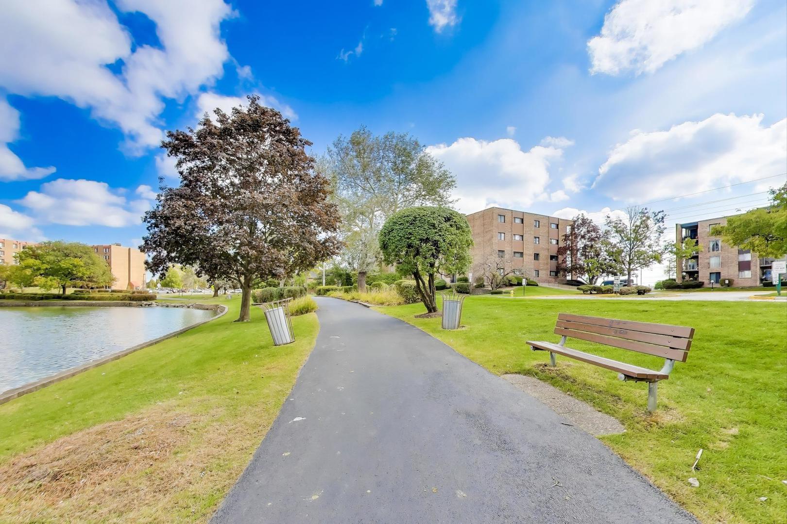 725 W Huntington Commons Road #217, Mount Prospect, IL 60056