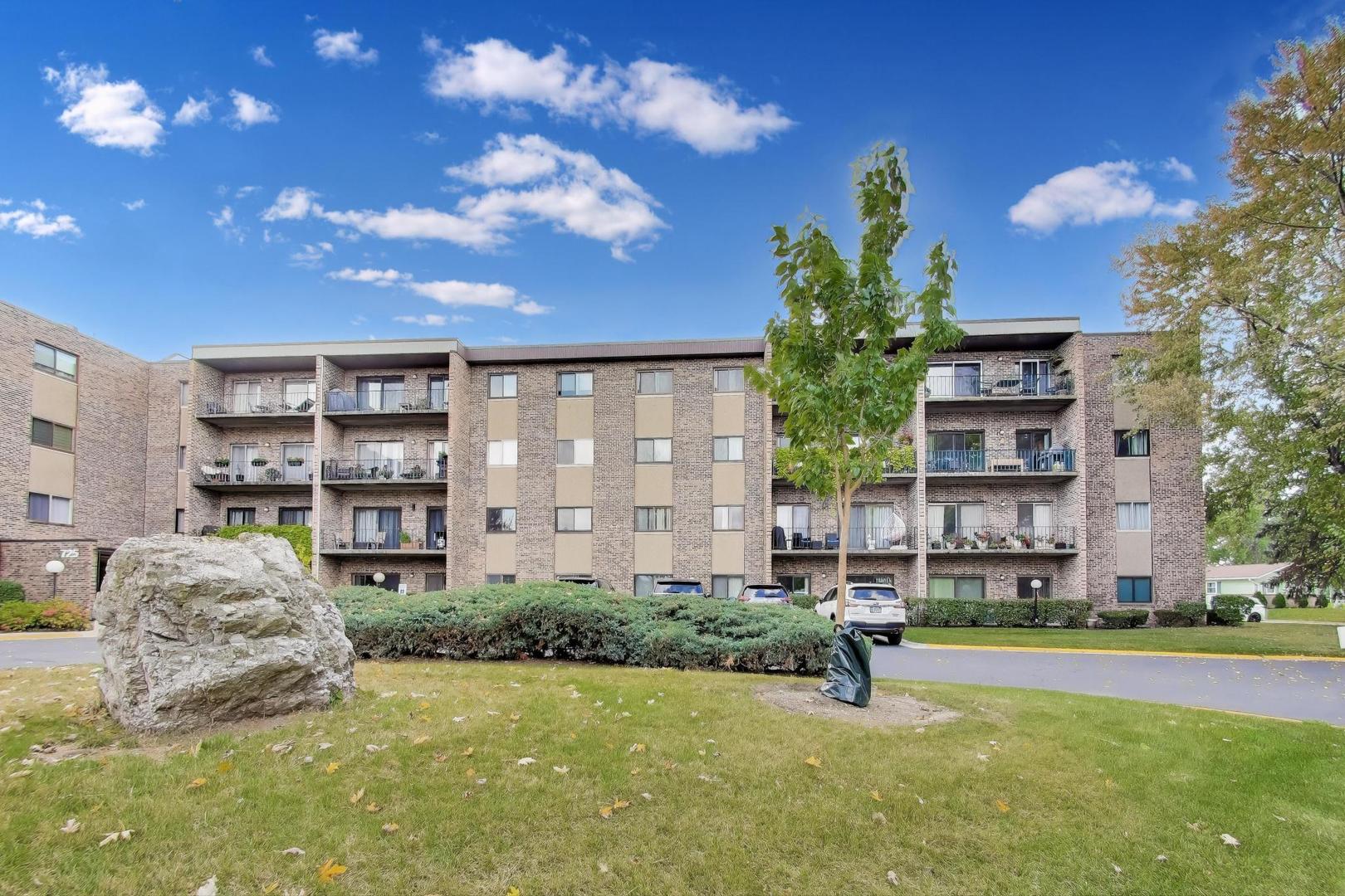 725 W Huntington Commons Road #217, Mount Prospect, IL 60056