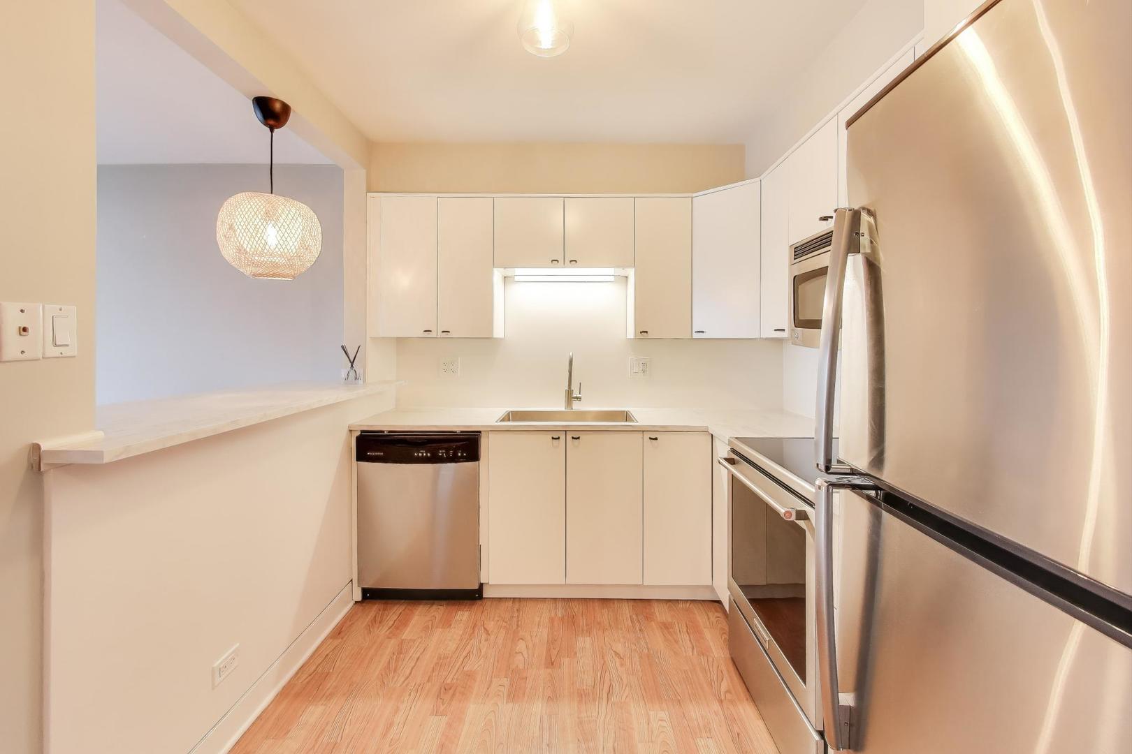 725 W Huntington Commons Road #217, Mount Prospect, IL 60056