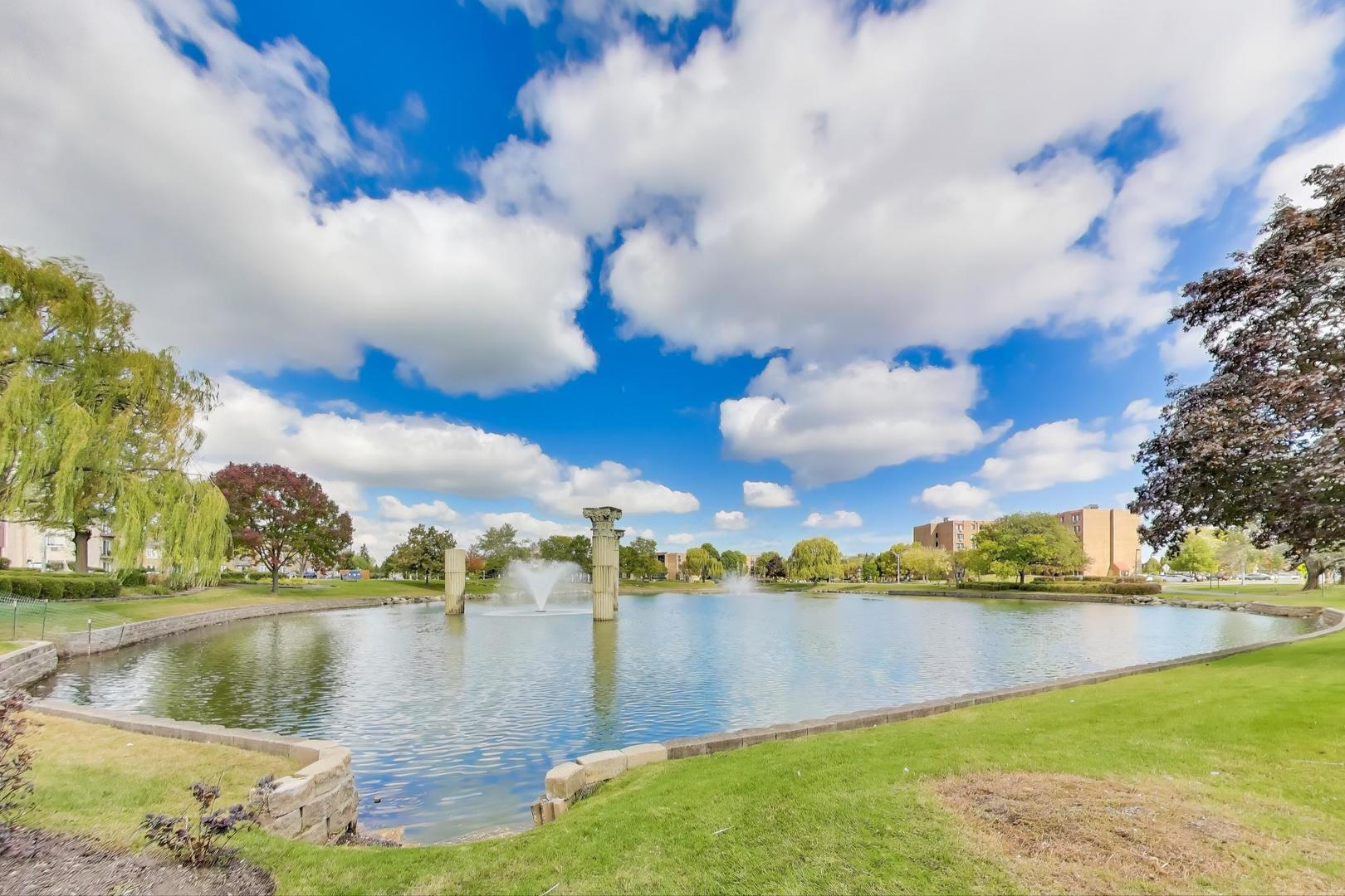 725 W Huntington Commons Road #217, Mount Prospect, IL 60056