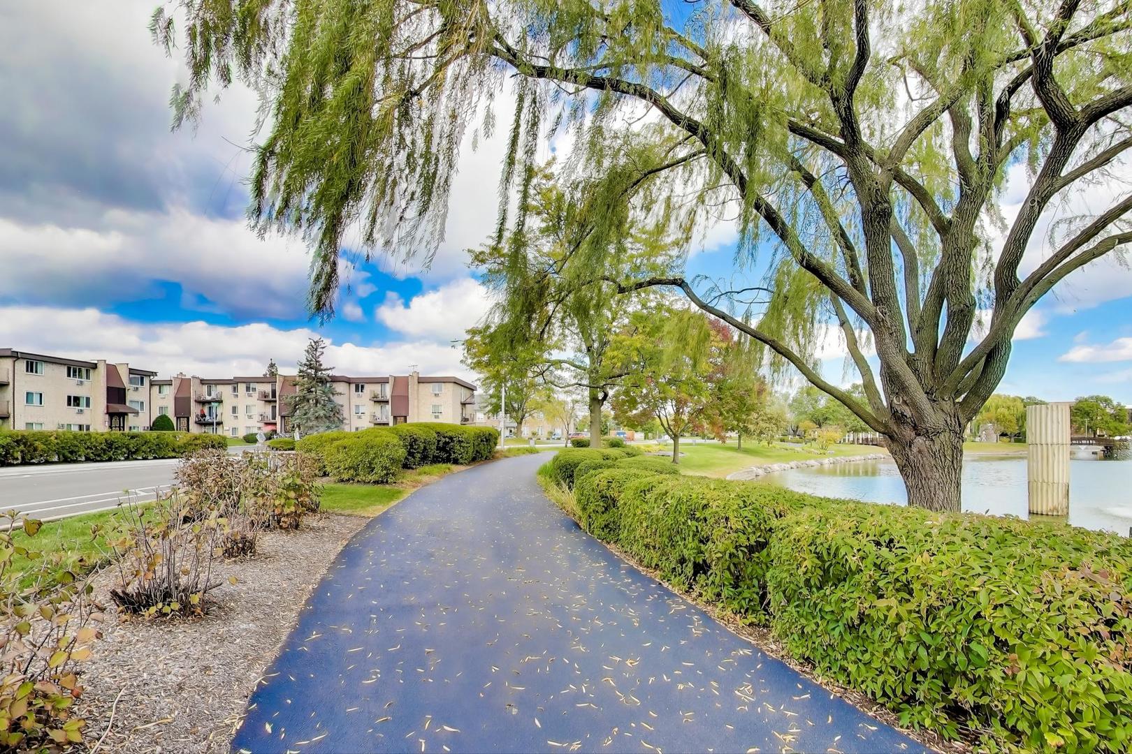 725 W Huntington Commons Road #217, Mount Prospect, IL 60056