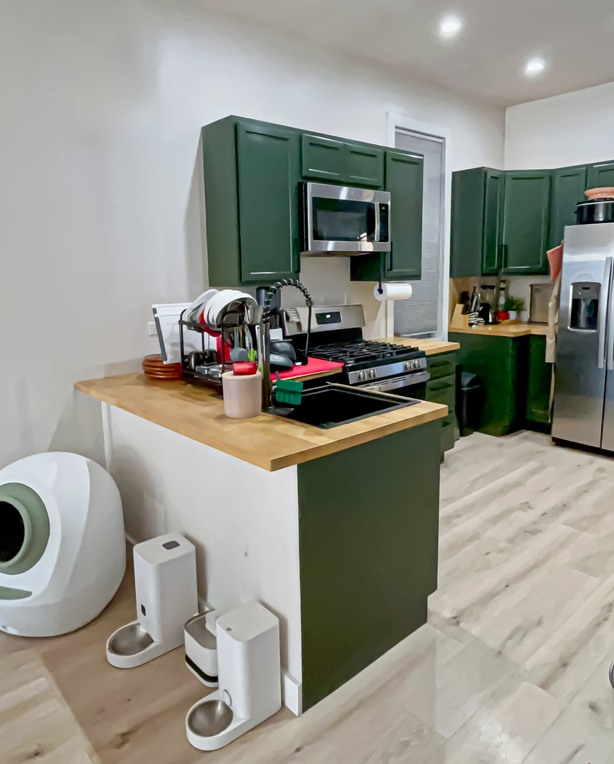 1812 W 23rd Street #LL, Chicago, IL 60608