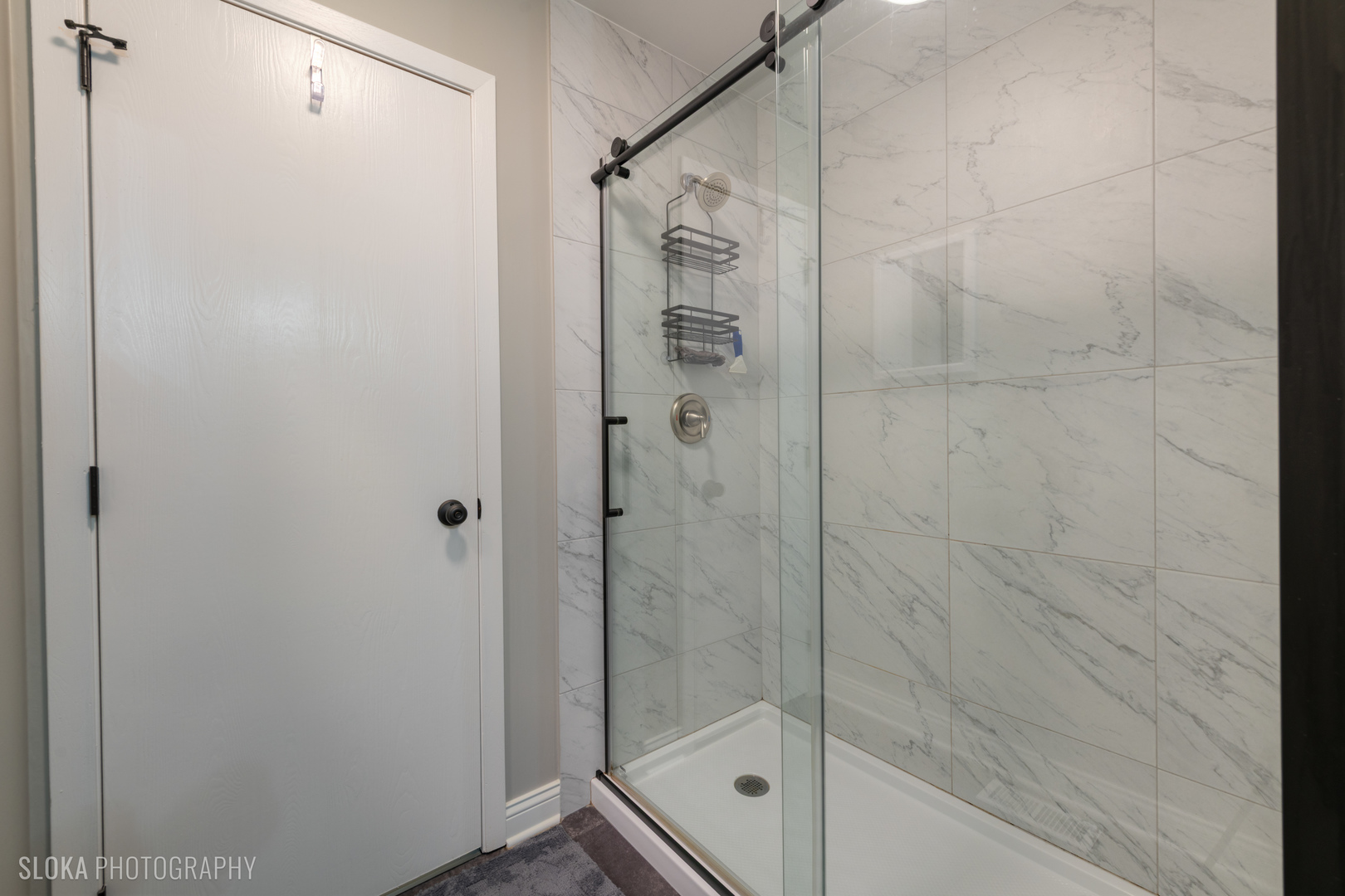 2435 Brunswick Circle #D, Woodridge, IL 60517