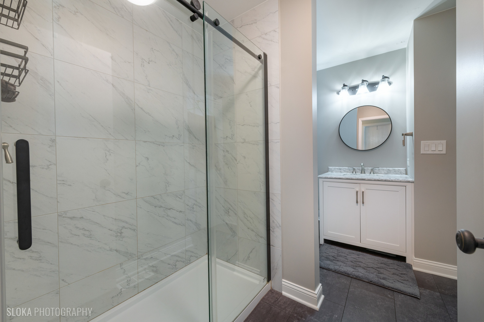 2435 Brunswick Circle #D, Woodridge, IL 60517