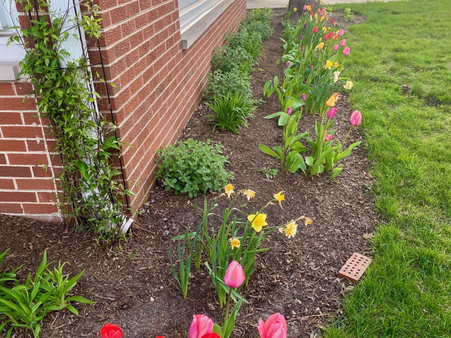 619 Oakton Street, Elk Grove Village, IL 60007