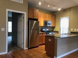 343 E 25TH Place #18C, Chicago, IL 60616