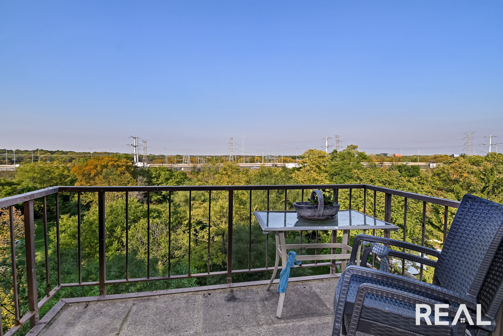 425 Walnut Creek Lane #1603, Lisle, IL 60532