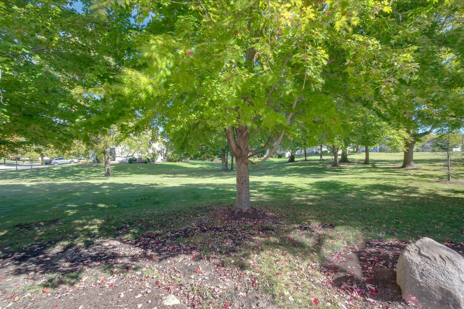 1271 MCDOLE Drive, Sugar Grove, IL 60554