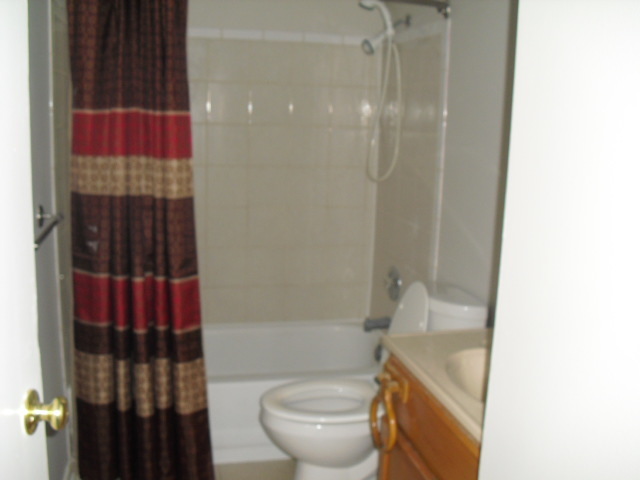 253 Windsor Drive, Bolingbrook, IL 60440