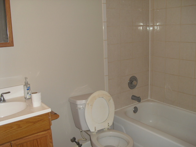 253 Windsor Drive, Bolingbrook, IL 60440