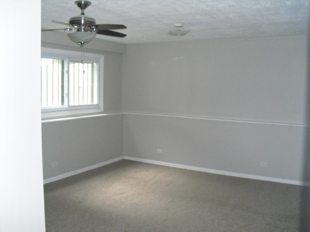 253 Windsor Drive, Bolingbrook, IL 60440