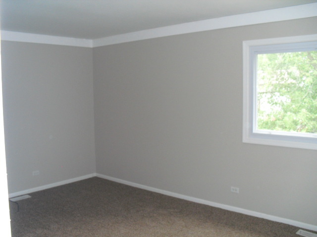 253 Windsor Drive, Bolingbrook, IL 60440