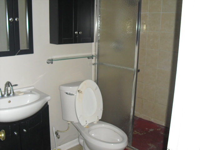 253 Windsor Drive, Bolingbrook, IL 60440