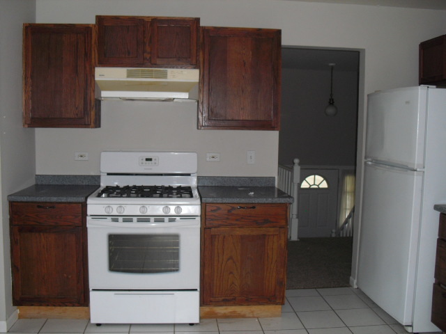 253 Windsor Drive, Bolingbrook, IL 60440