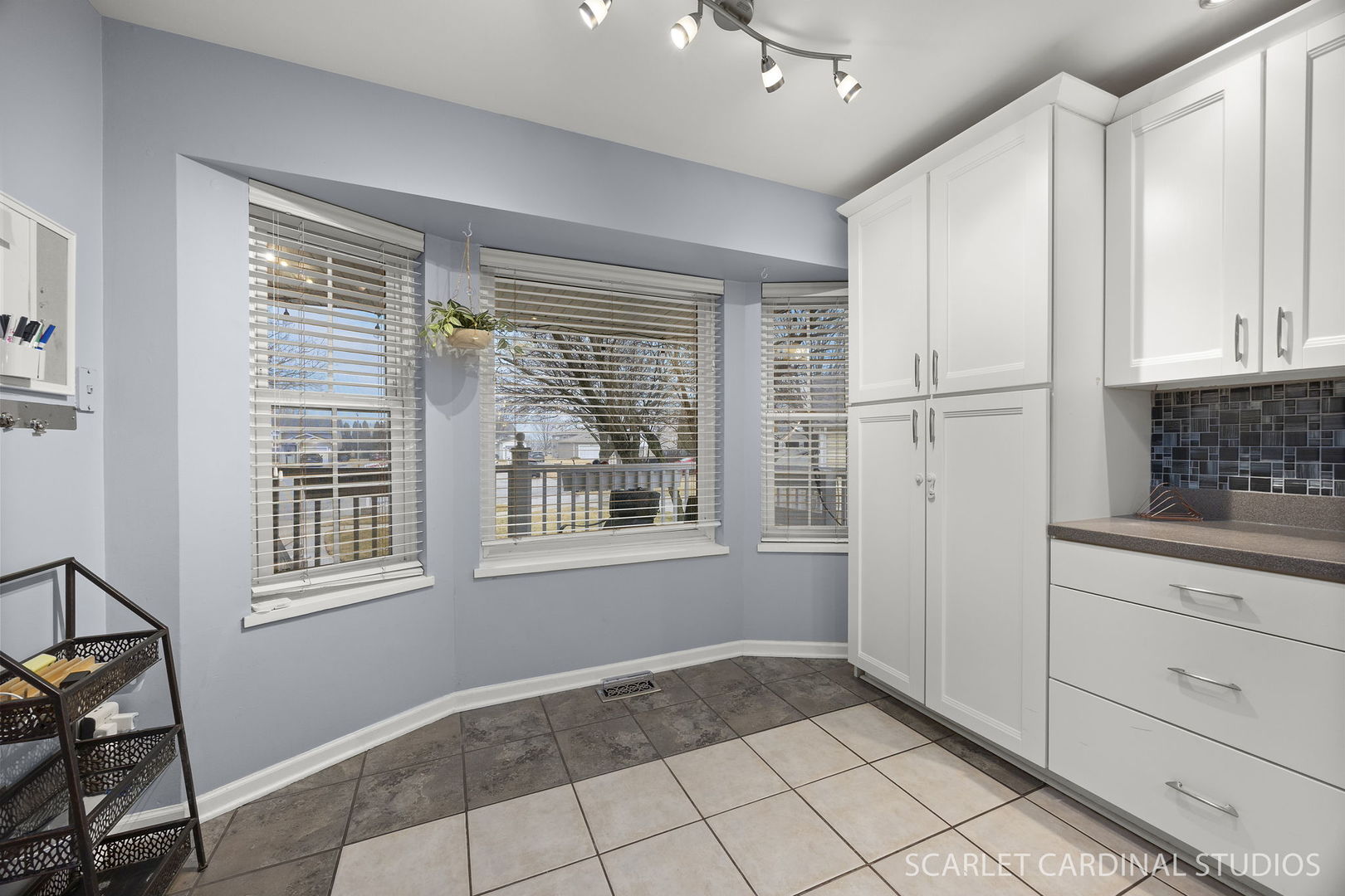 222 Meadows Drive, Sugar Grove, IL 60554